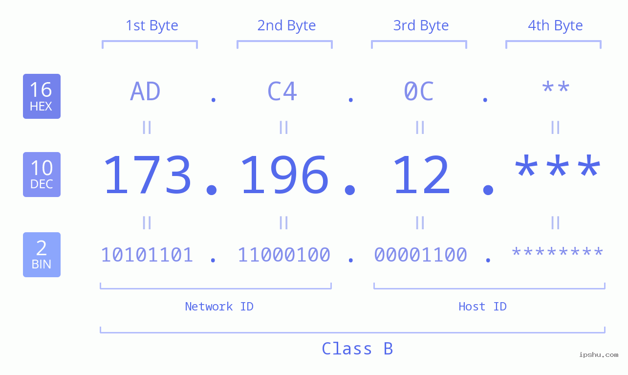 IP Address: 173.196.12 Data Structure Chart BIN DEC HEX IPv4: 173.196.12 Network Class, Net ID, Host ID