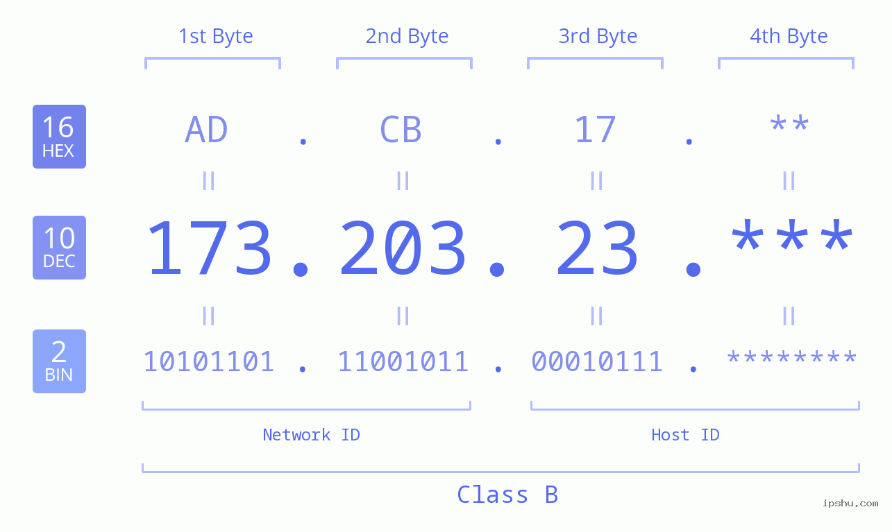 IP Address: 173.203.23 Data Structure Chart BIN DEC HEX IPv4: 173.203.23 Network Class, Net ID, Host ID