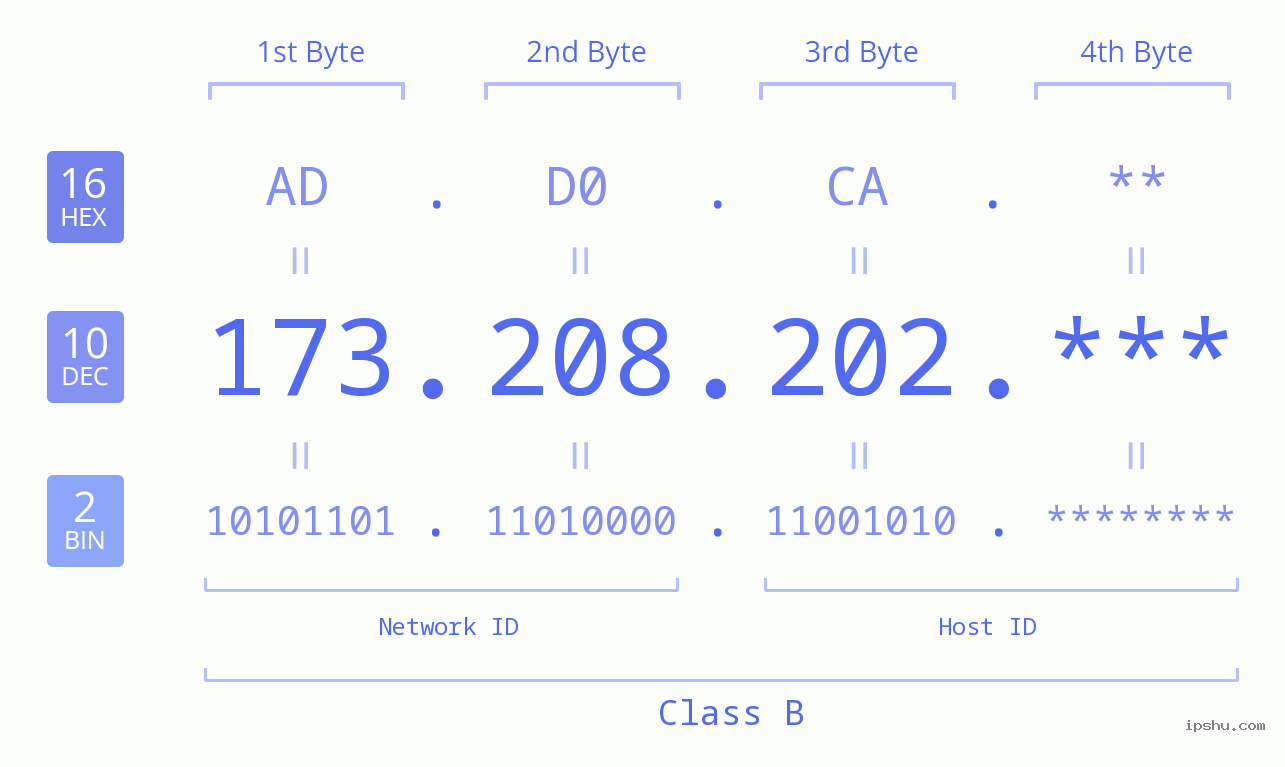 IP Address: 173.208.202 Data Structure Chart BIN DEC HEX IPv4: 173.208.202 Network Class, Net ID, Host ID