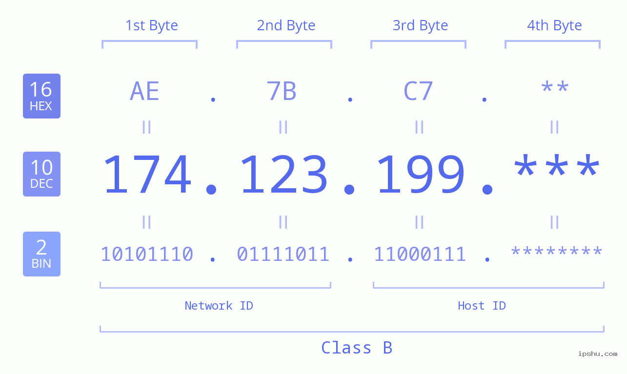 IP Address: 174.123.199 Data Structure Chart BIN DEC HEX IPv4: 174.123.199 Network Class, Net ID, Host ID