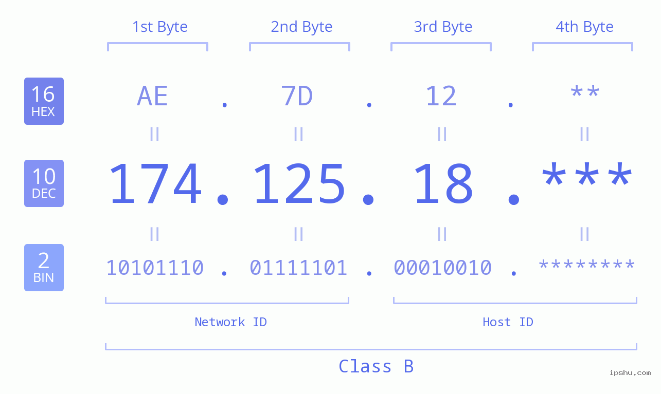 IP Address: 174.125.18 Data Structure Chart BIN DEC HEX IPv4: 174.125.18 Network Class, Net ID, Host ID