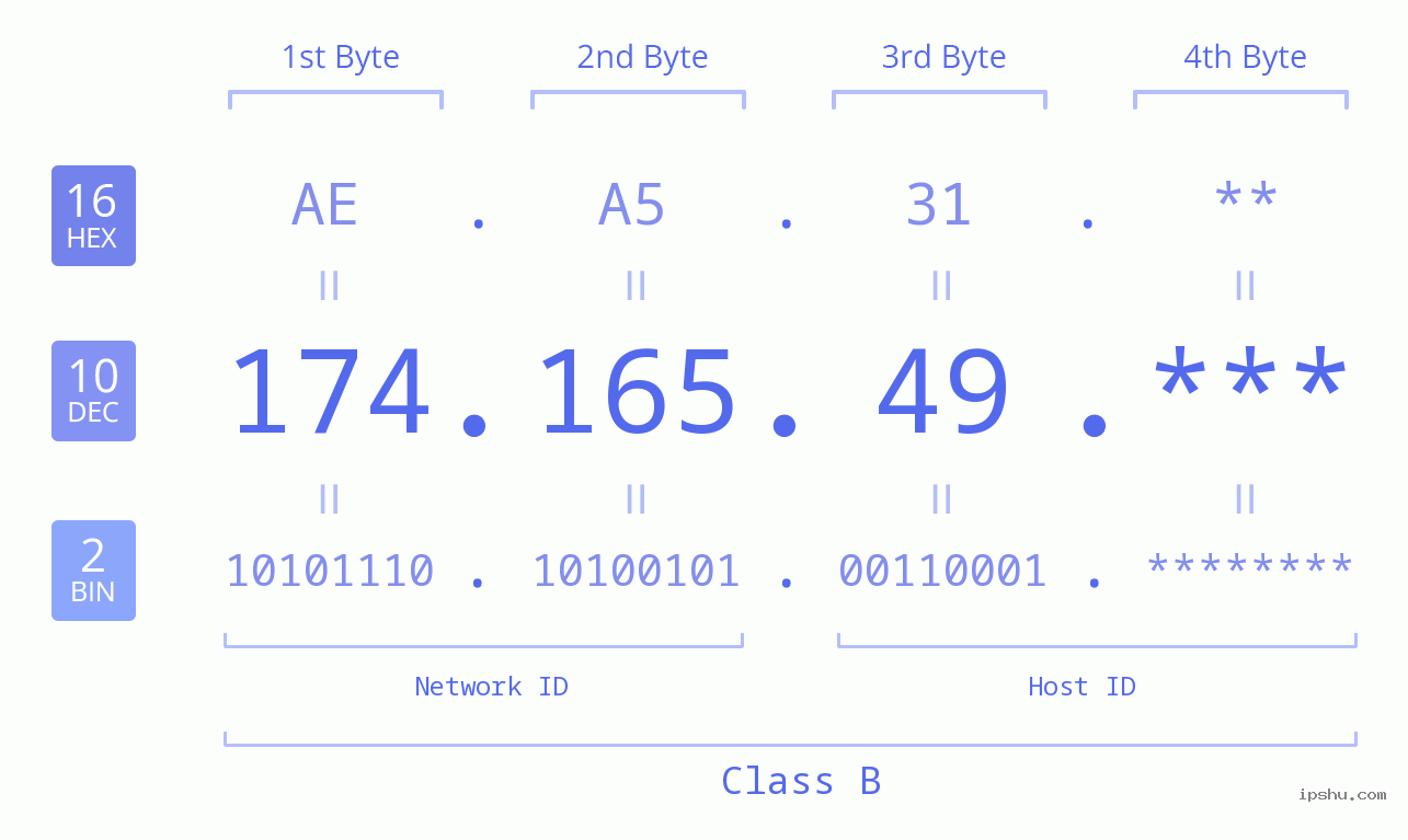 IP Address: 174.165.49 Data Structure Chart BIN DEC HEX IPv4: 174.165.49 Network Class, Net ID, Host ID