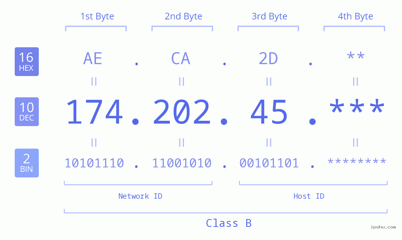 IP Address: 174.202.45 Data Structure Chart BIN DEC HEX IPv4: 174.202.45 Network Class, Net ID, Host ID