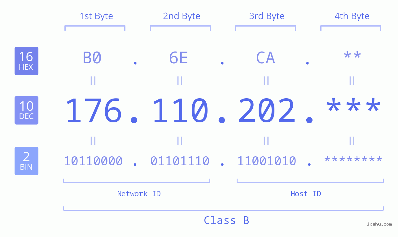 IP Address: 176.110.202 Data Structure Chart BIN DEC HEX IPv4: 176.110.202 Network Class, Net ID, Host ID