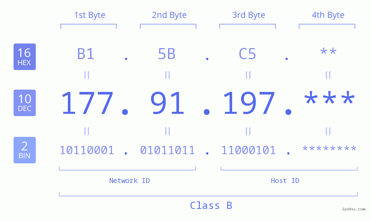 IP Address: 177.91.197 Data Structure Chart BIN DEC HEX IPv4: 177.91.197 Network Class, Net ID, Host ID