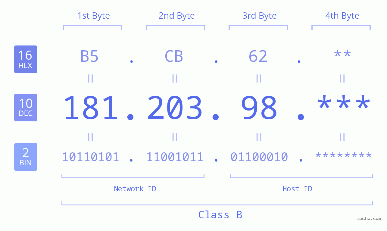IP Address: 181.203.98 Data Structure Chart BIN DEC HEX IPv4: 181.203.98 Network Class, Net ID, Host ID