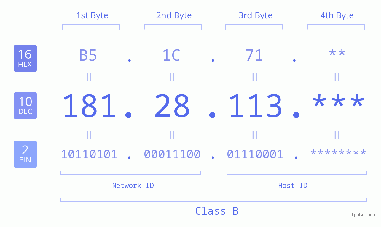 IP Address: 181.28.113 Data Structure Chart BIN DEC HEX IPv4: 181.28.113 Network Class, Net ID, Host ID