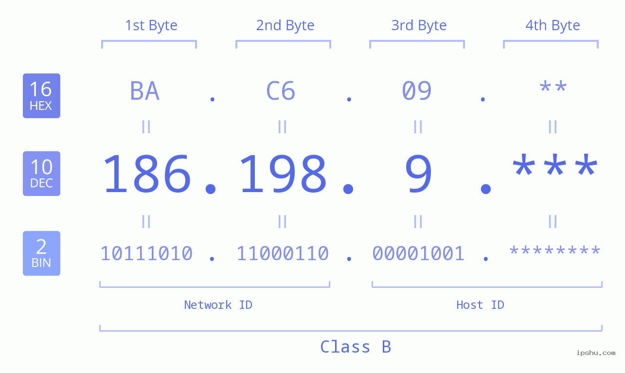 IP Address: 186.198.9 Data Structure Chart BIN DEC HEX IPv4: 186.198.9 Network Class, Net ID, Host ID