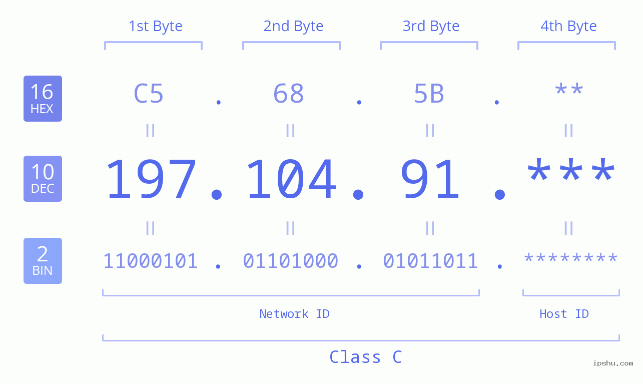 IP Address: 197.104.91 Data Structure Chart BIN DEC HEX IPv4: 197.104.91 Network Class, Net ID, Host ID