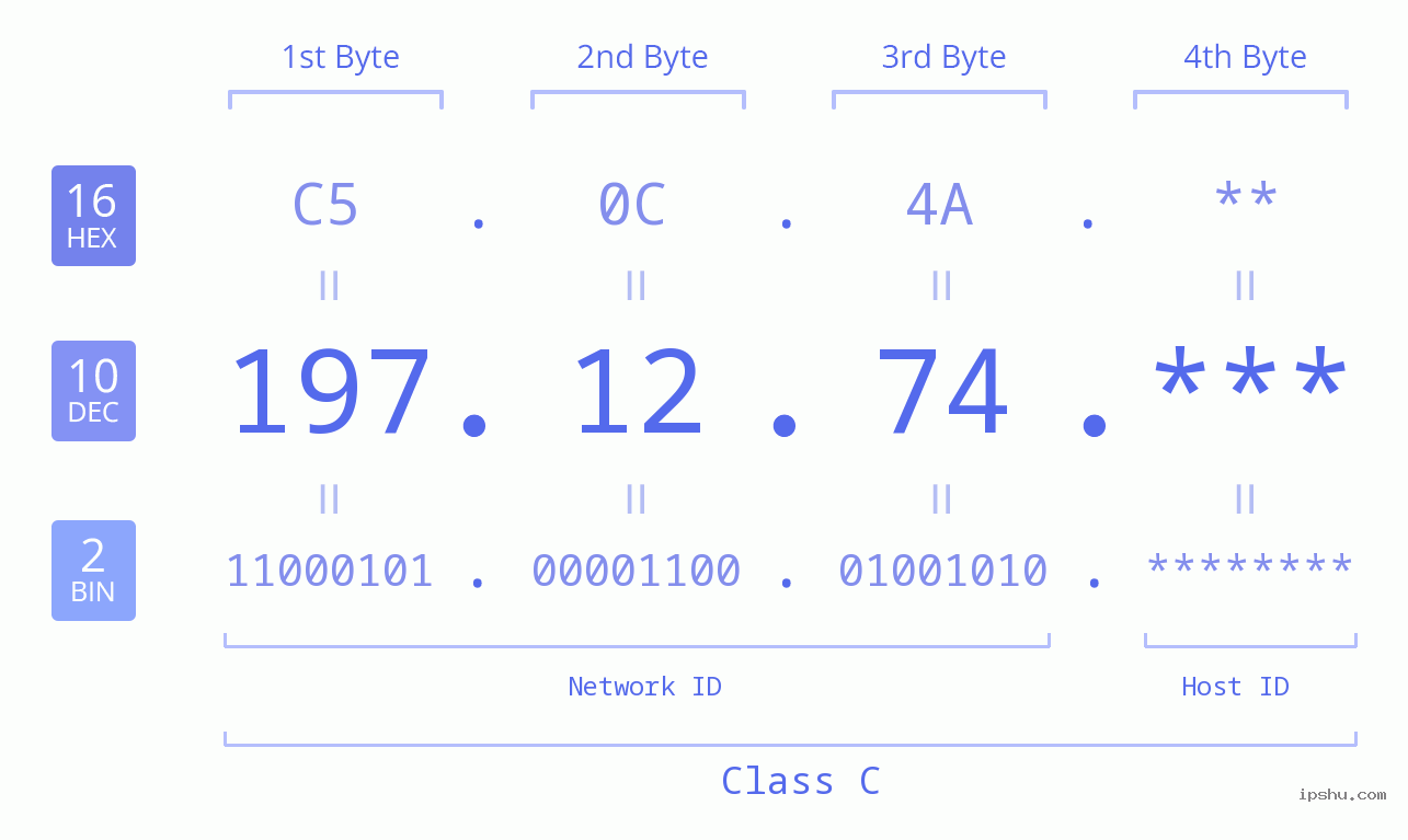 IP Address: 197.12.74 Data Structure Chart BIN DEC HEX IPv4: 197.12.74 Network Class, Net ID, Host ID