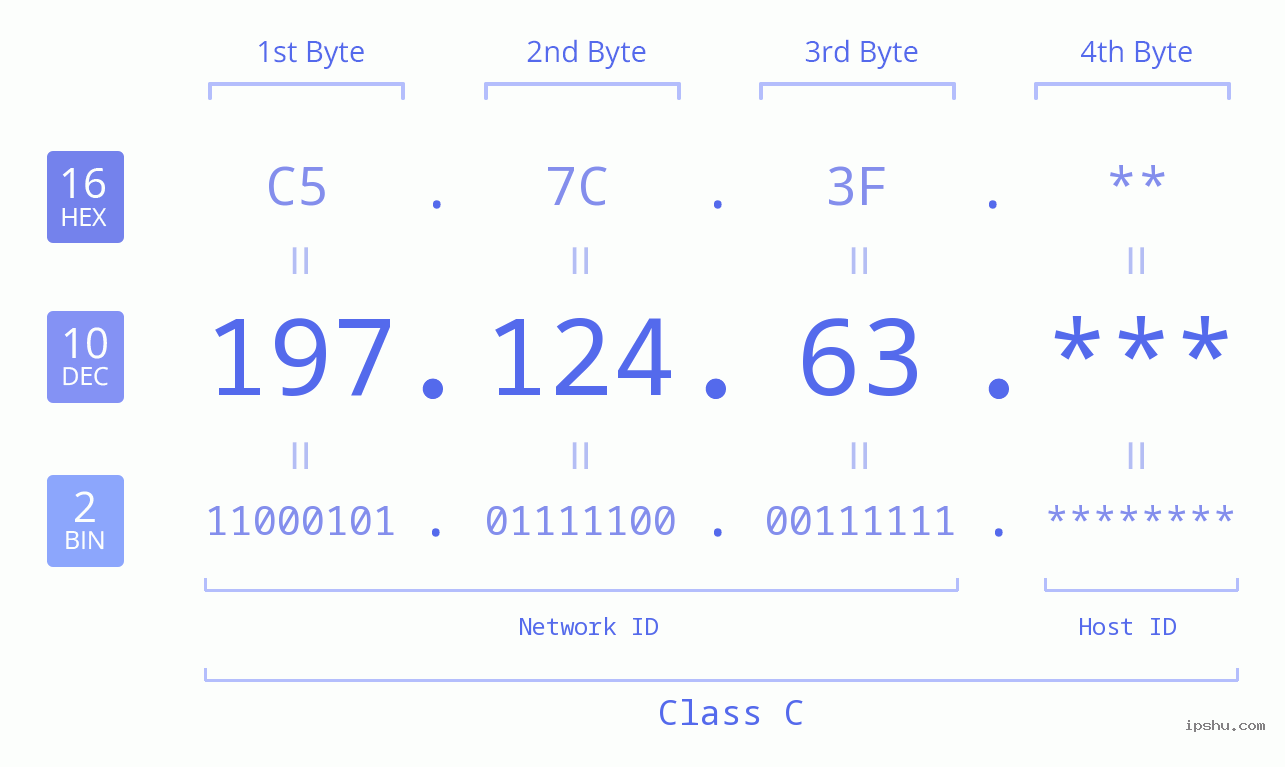 IP Address: 197.124.63 Data Structure Chart BIN DEC HEX IPv4: 197.124.63 Network Class, Net ID, Host ID
