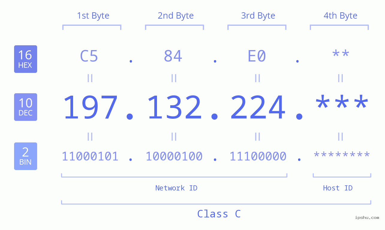IP Address: 197.132.224 Data Structure Chart BIN DEC HEX IPv4: 197.132.224 Network Class, Net ID, Host ID