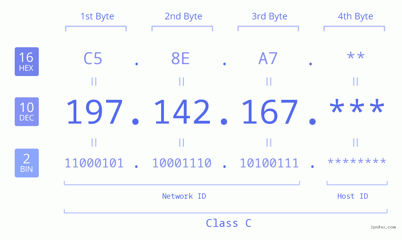 IP Address: 197.142.167 Data Structure Chart BIN DEC HEX IPv4: 197.142.167 Network Class, Net ID, Host ID