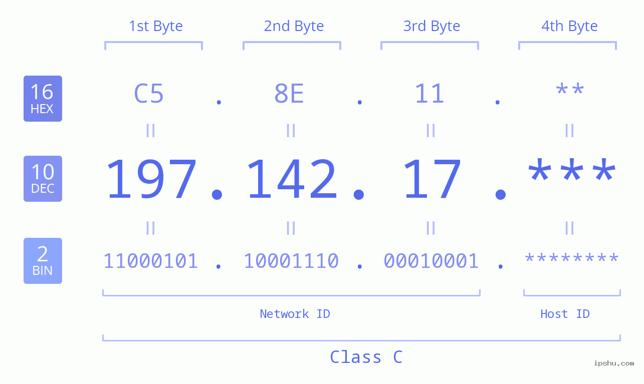 IP Address: 197.142.17 Data Structure Chart BIN DEC HEX IPv4: 197.142.17 Network Class, Net ID, Host ID