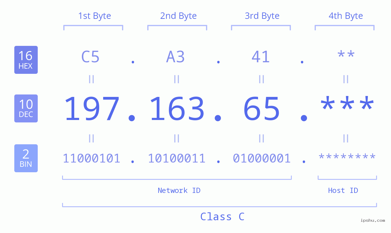 IP Address: 197.163.65 Data Structure Chart BIN DEC HEX IPv4: 197.163.65 Network Class, Net ID, Host ID