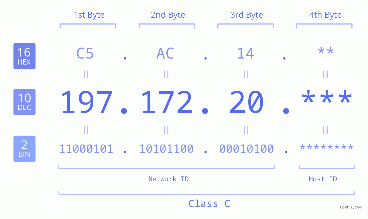 IP Address: 197.172.20 Data Structure Chart BIN DEC HEX IPv4: 197.172.20 Network Class, Net ID, Host ID