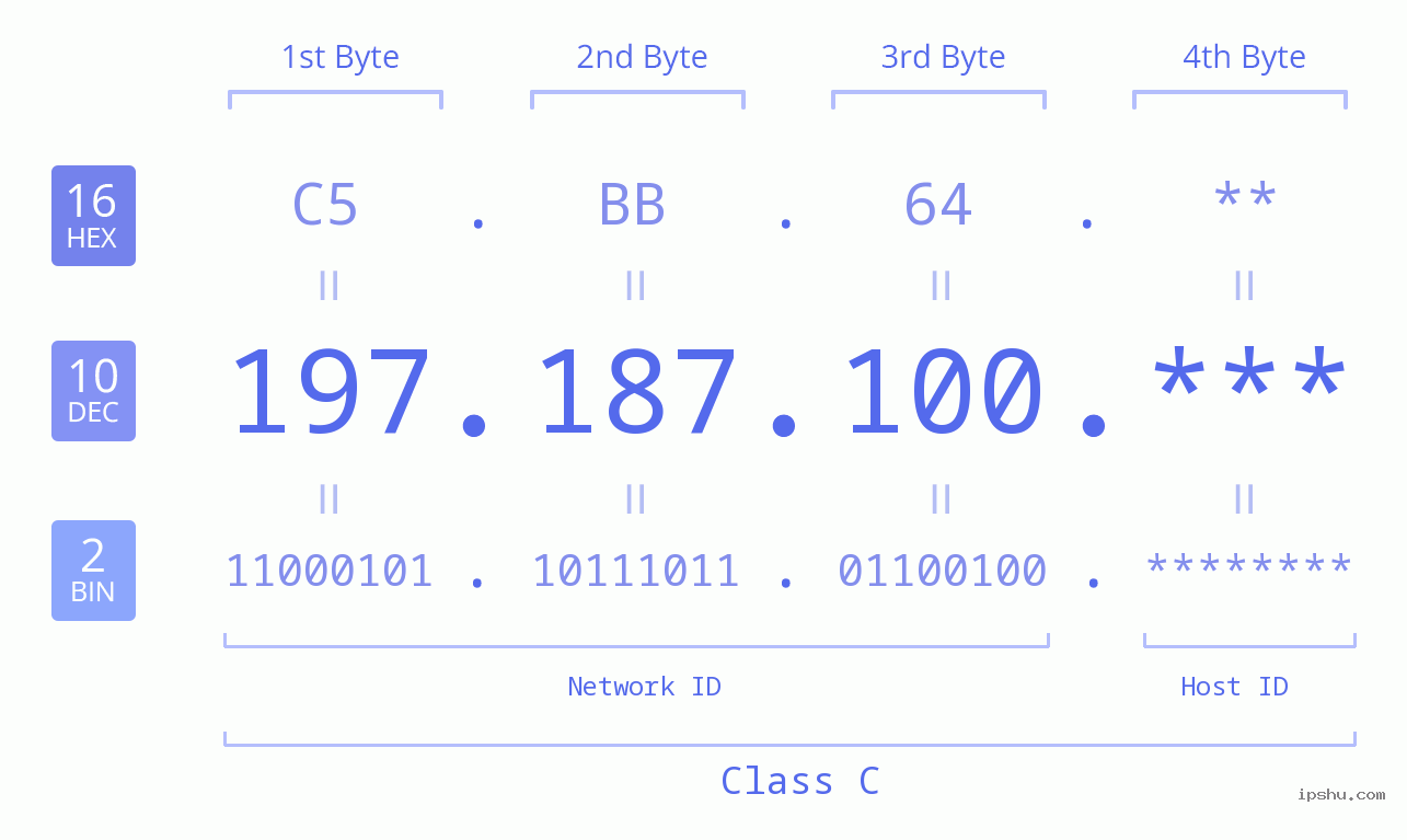 IP Address: 197.187.100 Data Structure Chart BIN DEC HEX IPv4: 197.187.100 Network Class, Net ID, Host ID