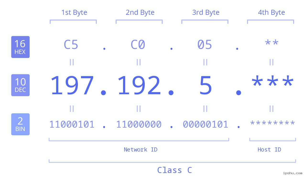 IP Address: 197.192.5 Data Structure Chart BIN DEC HEX IPv4: 197.192.5 Network Class, Net ID, Host ID