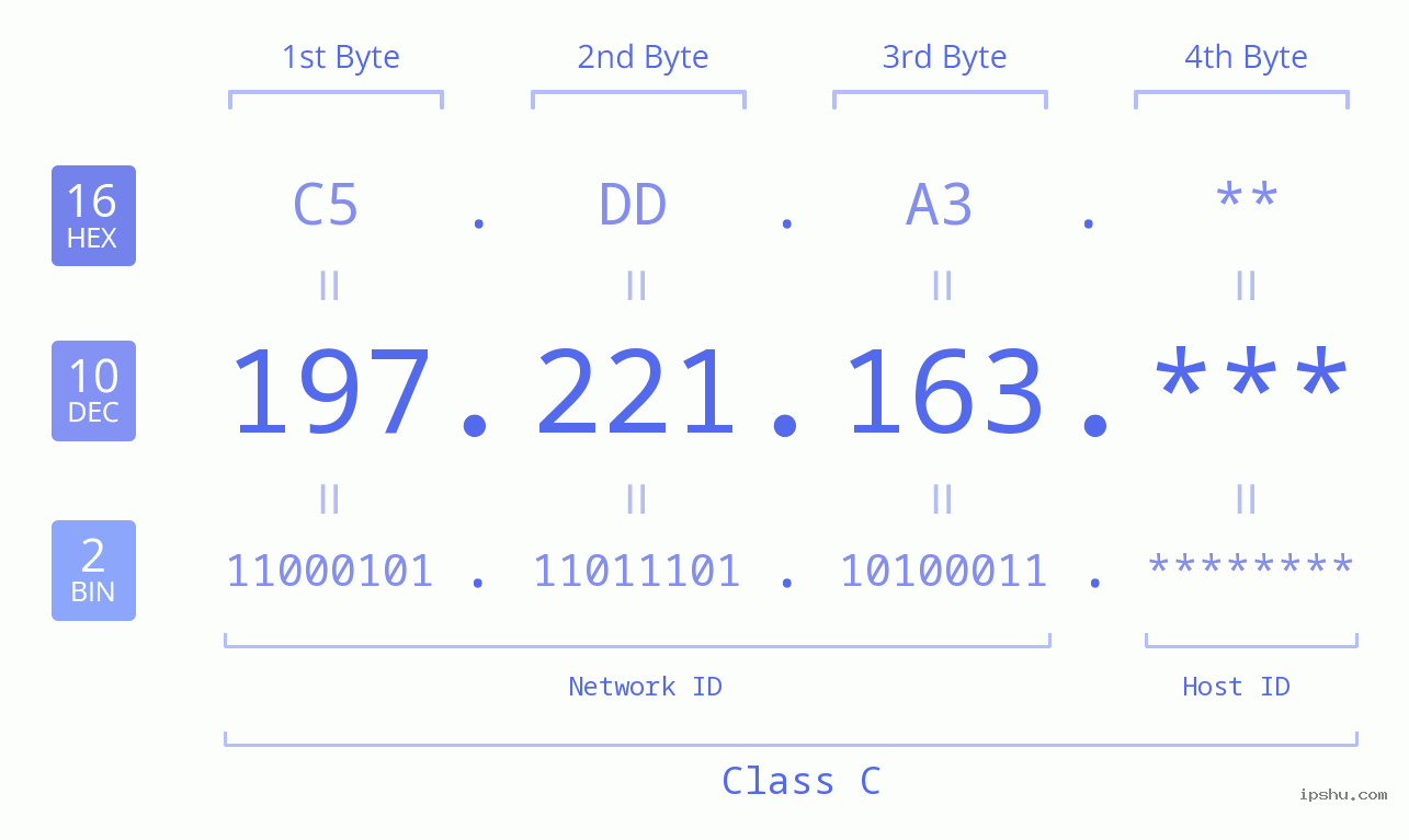 IP Address: 197.221.163 Data Structure Chart BIN DEC HEX IPv4: 197.221.163 Network Class, Net ID, Host ID