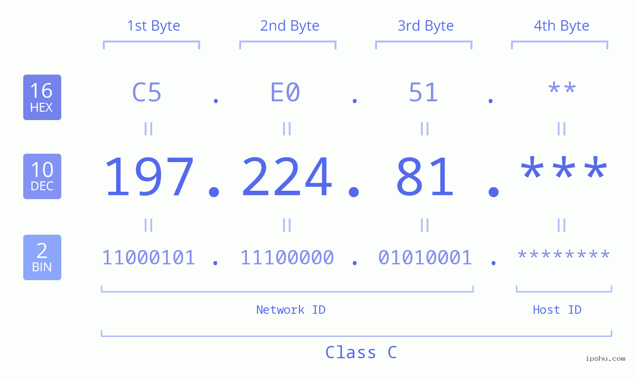 IP Address: 197.224.81 Data Structure Chart BIN DEC HEX IPv4: 197.224.81 Network Class, Net ID, Host ID