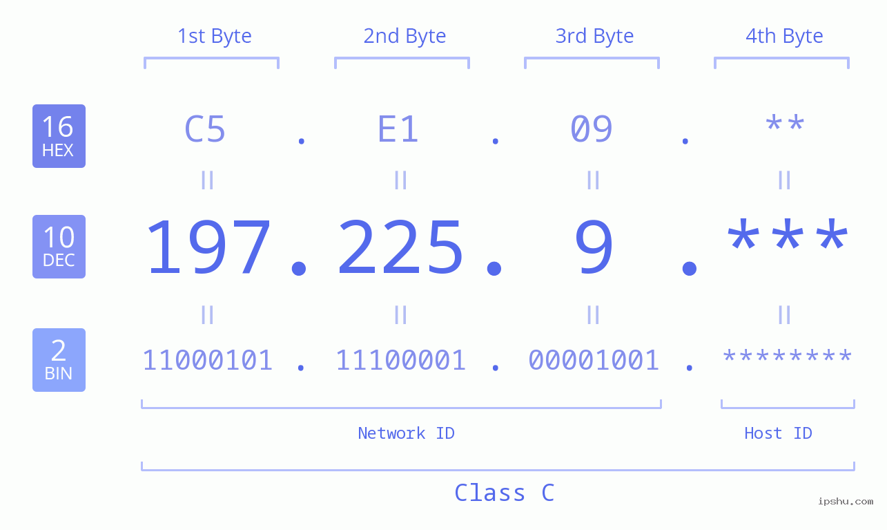 IP Address: 197.225.9 Data Structure Chart BIN DEC HEX IPv4: 197.225.9 Network Class, Net ID, Host ID