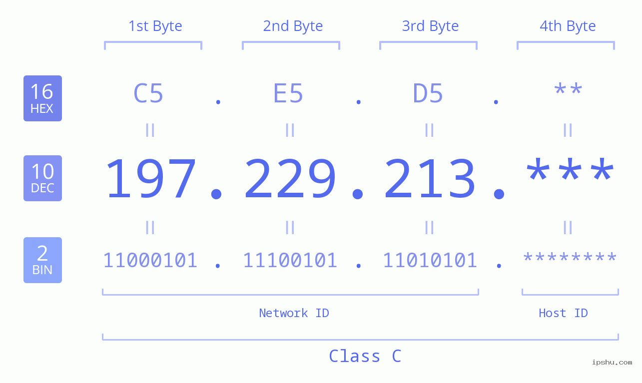 IP Address: 197.229.213 Data Structure Chart BIN DEC HEX IPv4: 197.229.213 Network Class, Net ID, Host ID