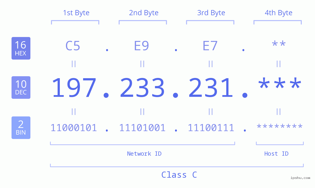 IP Address: 197.233.231 Data Structure Chart BIN DEC HEX IPv4: 197.233.231 Network Class, Net ID, Host ID