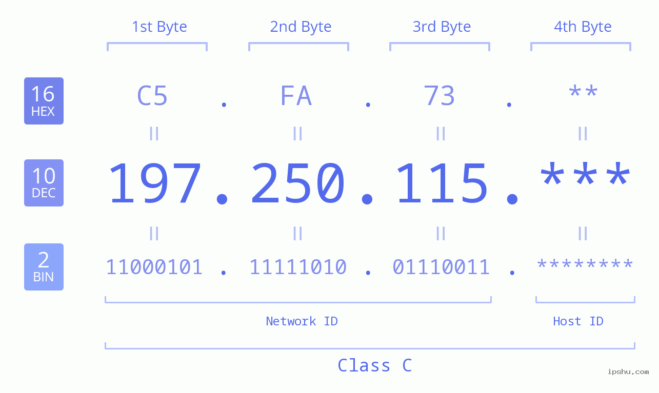 IP Address: 197.250.115 Data Structure Chart BIN DEC HEX IPv4: 197.250.115 Network Class, Net ID, Host ID