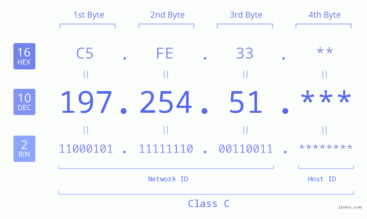 IP Address: 197.254.51 Data Structure Chart BIN DEC HEX IPv4: 197.254.51 Network Class, Net ID, Host ID
