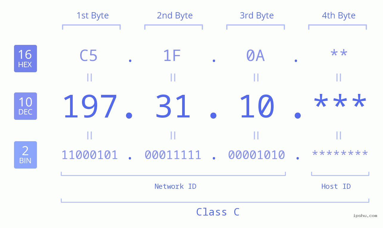IP Address: 197.31.10 Data Structure Chart BIN DEC HEX IPv4: 197.31.10 Network Class, Net ID, Host ID