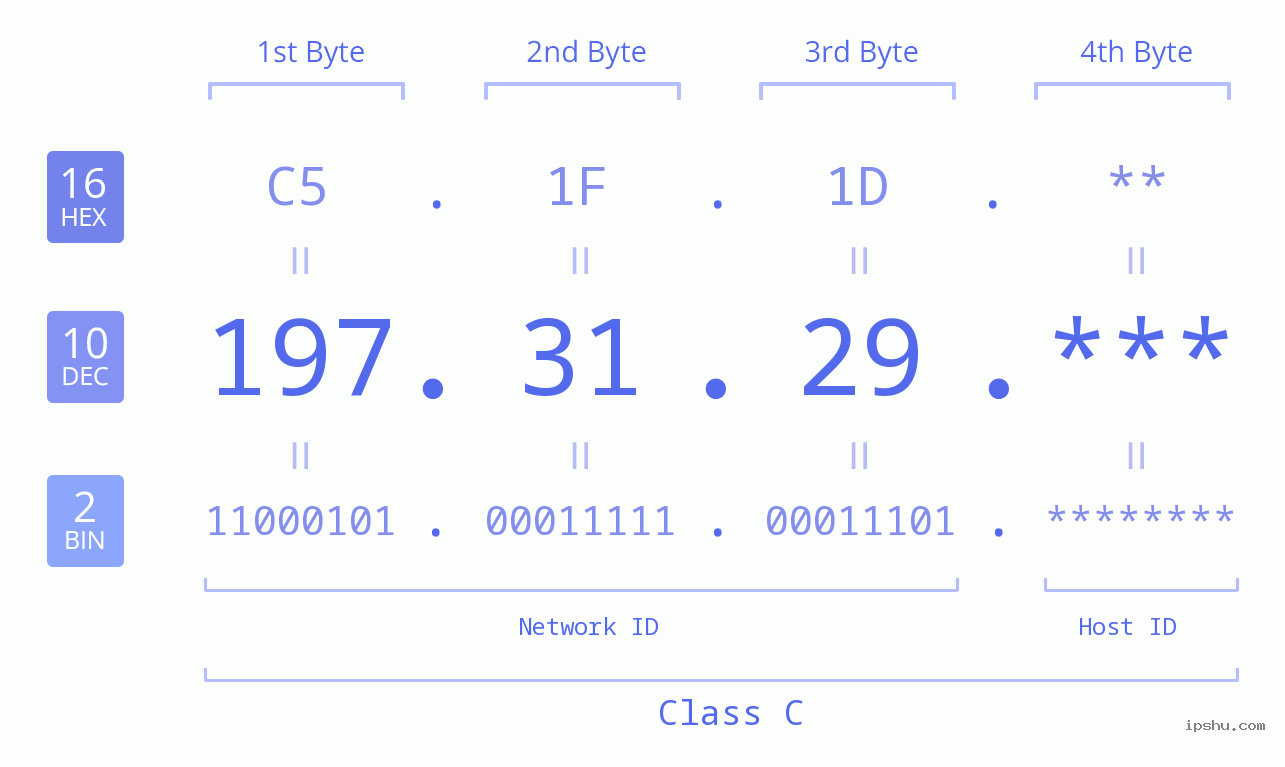 IP Address: 197.31.29 Data Structure Chart BIN DEC HEX IPv4: 197.31.29 Network Class, Net ID, Host ID