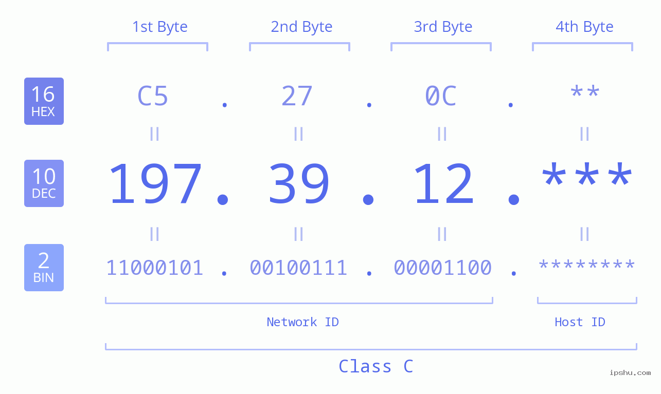 IP Address: 197.39.12 Data Structure Chart BIN DEC HEX IPv4: 197.39.12 Network Class, Net ID, Host ID