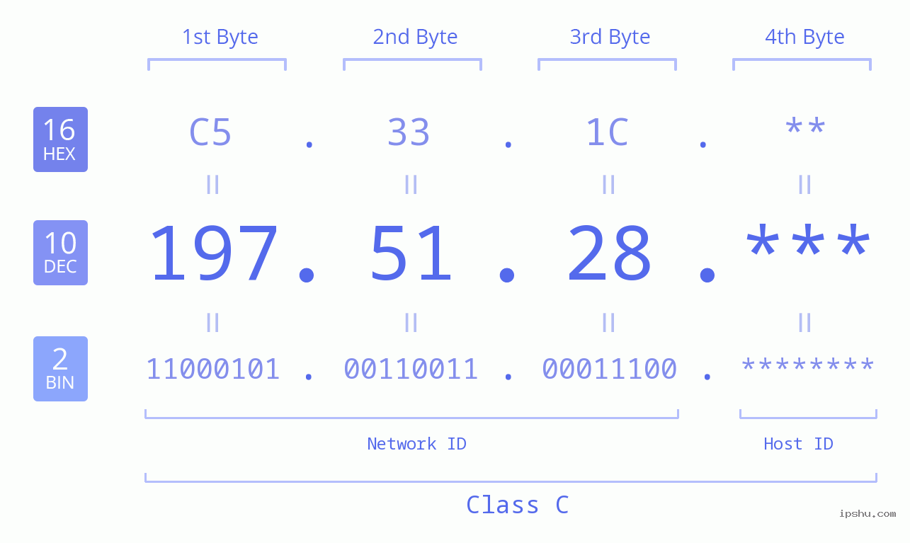 IP Address: 197.51.28 Data Structure Chart BIN DEC HEX IPv4: 197.51.28 Network Class, Net ID, Host ID