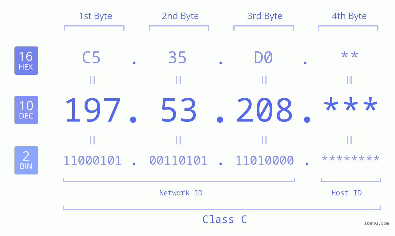 IP Address: 197.53.208 Data Structure Chart BIN DEC HEX IPv4: 197.53.208 Network Class, Net ID, Host ID