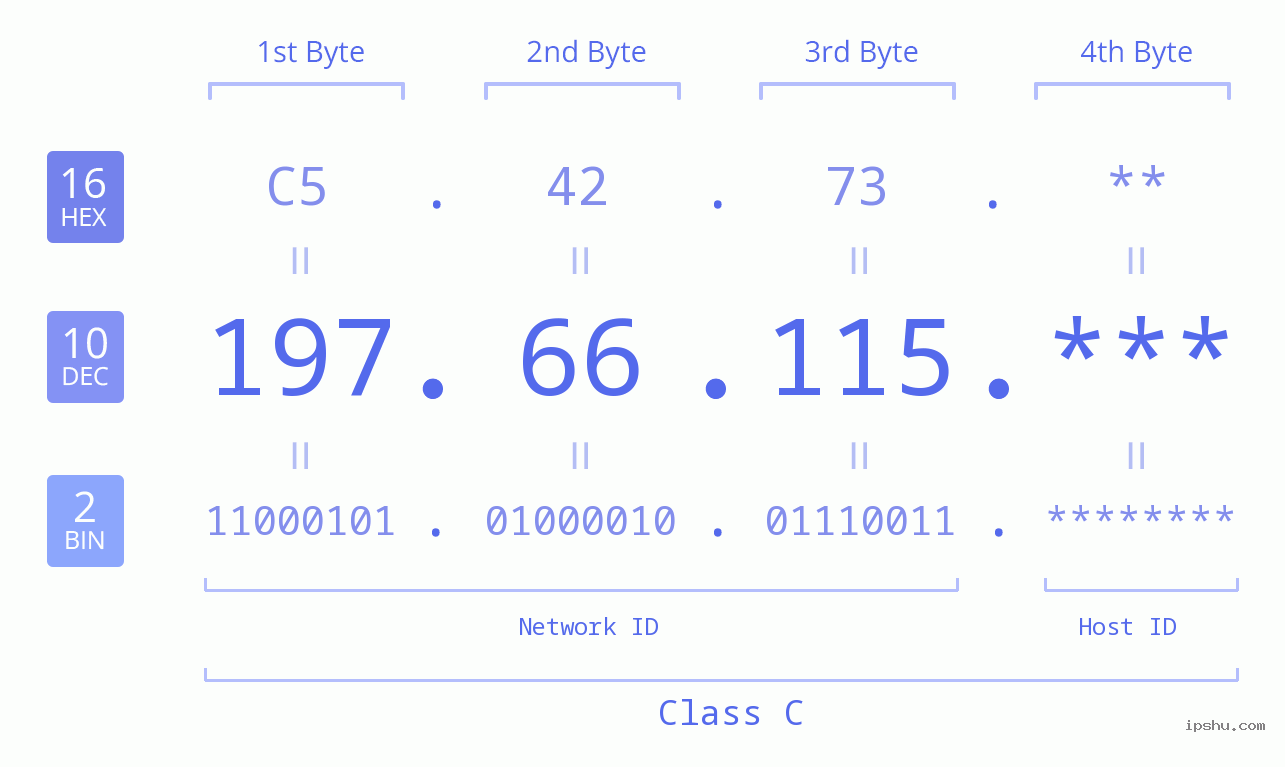 IP Address: 197.66.115 Data Structure Chart BIN DEC HEX IPv4: 197.66.115 Network Class, Net ID, Host ID