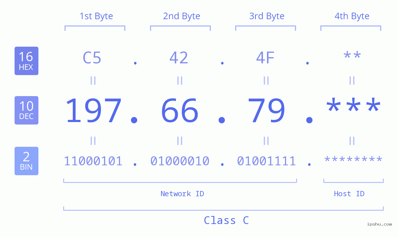 IP Address: 197.66.79 Data Structure Chart BIN DEC HEX IPv4: 197.66.79 Network Class, Net ID, Host ID