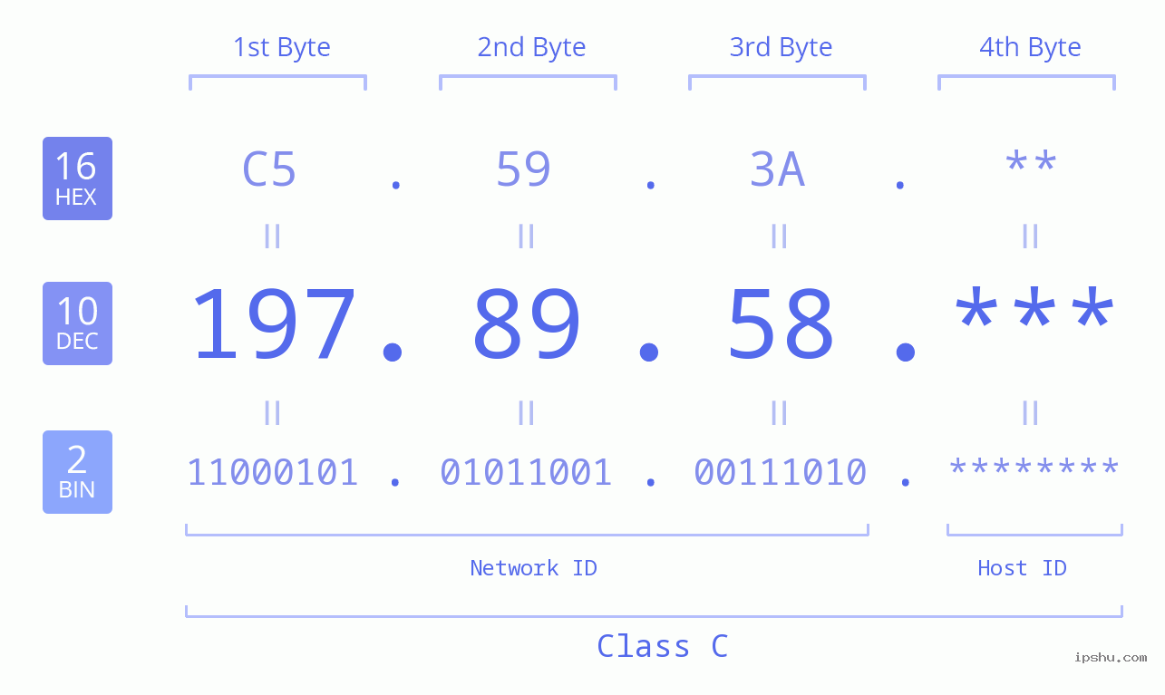 IP Address: 197.89.58 Data Structure Chart BIN DEC HEX IPv4: 197.89.58 Network Class, Net ID, Host ID