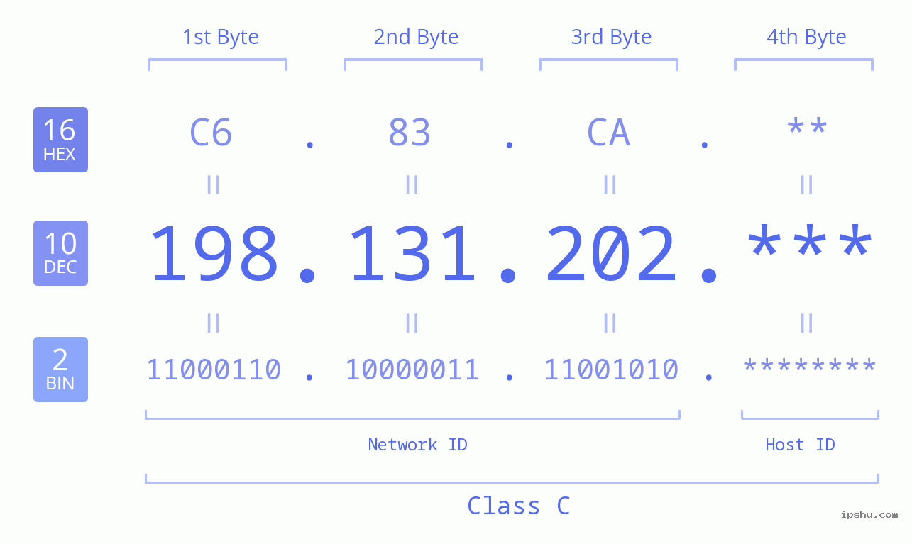 IP Address: 198.131.202 Data Structure Chart BIN DEC HEX IPv4: 198.131.202 Network Class, Net ID, Host ID