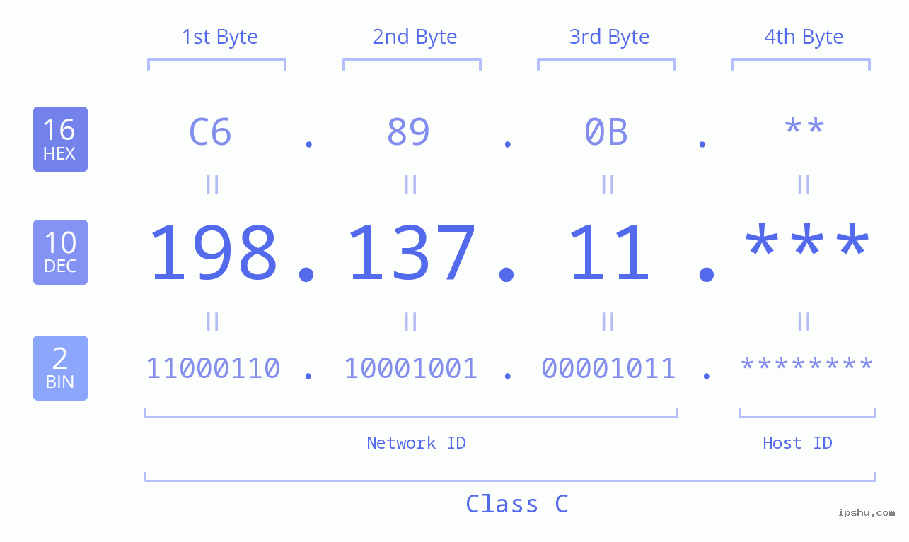 IP Address: 198.137.11 Data Structure Chart BIN DEC HEX IPv4: 198.137.11 Network Class, Net ID, Host ID