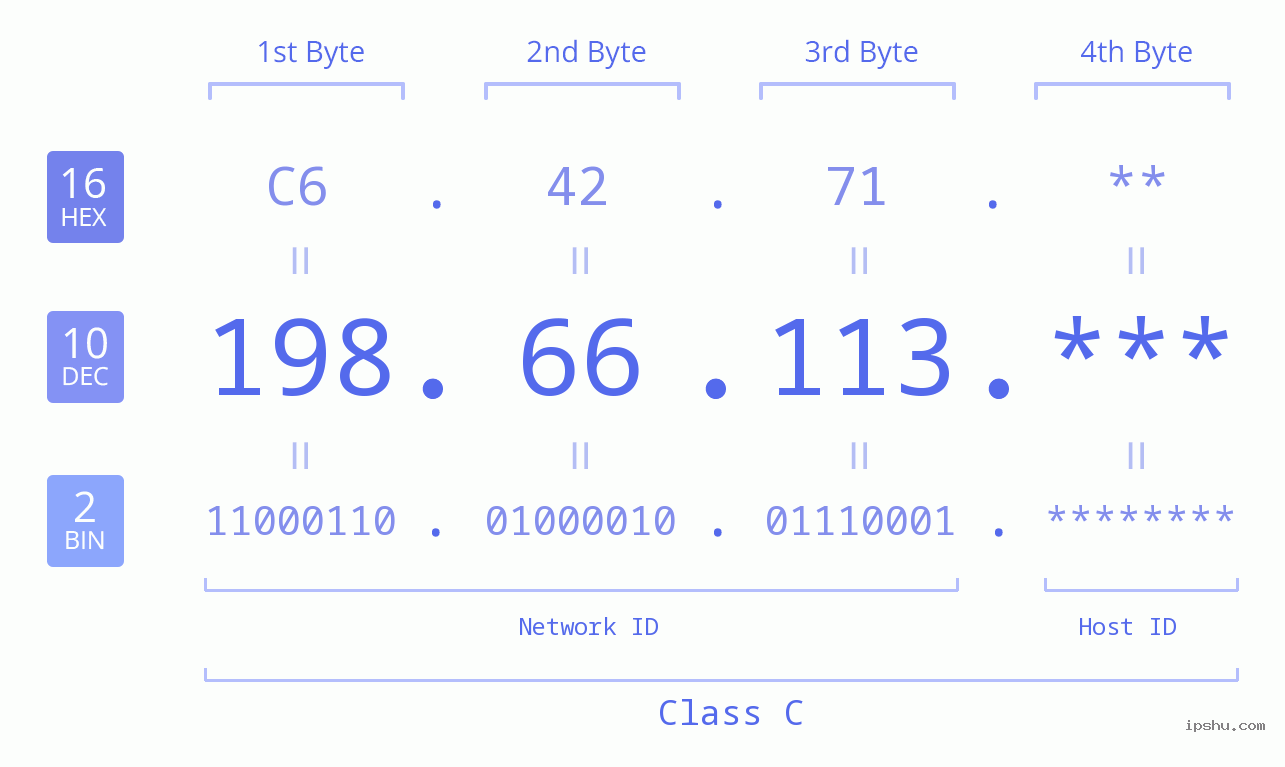 IP Address: 198.66.113 Data Structure Chart BIN DEC HEX IPv4: 198.66.113 Network Class, Net ID, Host ID