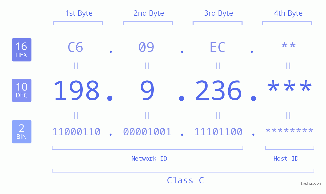 IP Address: 198.9.236 Data Structure Chart BIN DEC HEX IPv4: 198.9.236 Network Class, Net ID, Host ID