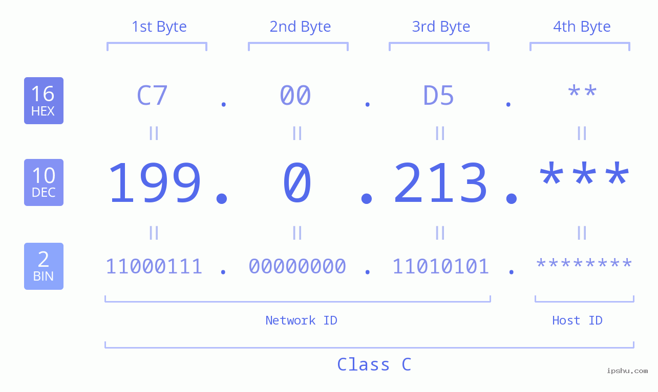 IP Address: 199.0.213 Data Structure Chart BIN DEC HEX IPv4: 199.0.213 Network Class, Net ID, Host ID