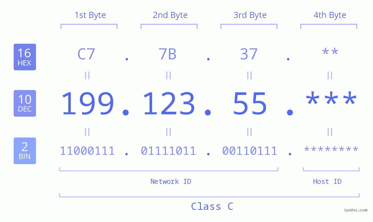 IP Address: 199.123.55 Data Structure Chart BIN DEC HEX IPv4: 199.123.55 Network Class, Net ID, Host ID