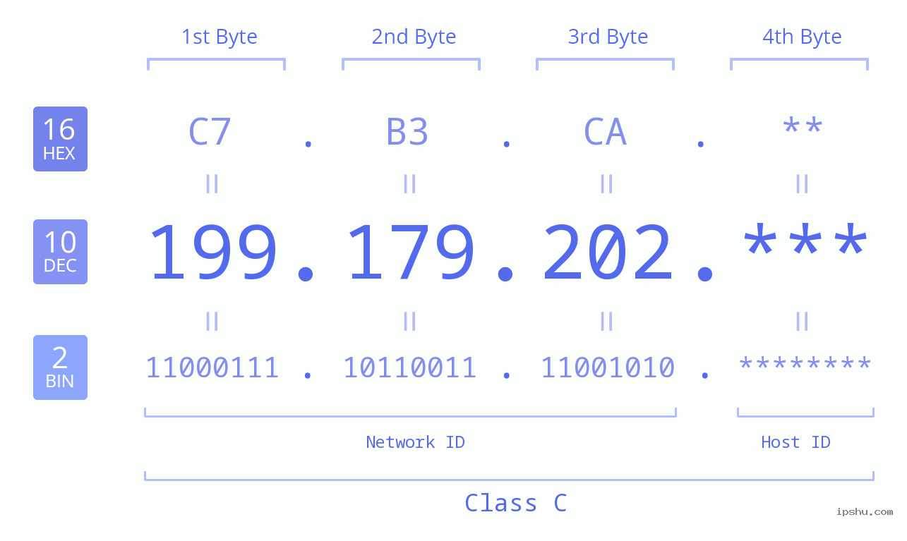 IP Address: 199.179.202 Data Structure Chart BIN DEC HEX IPv4: 199.179.202 Network Class, Net ID, Host ID