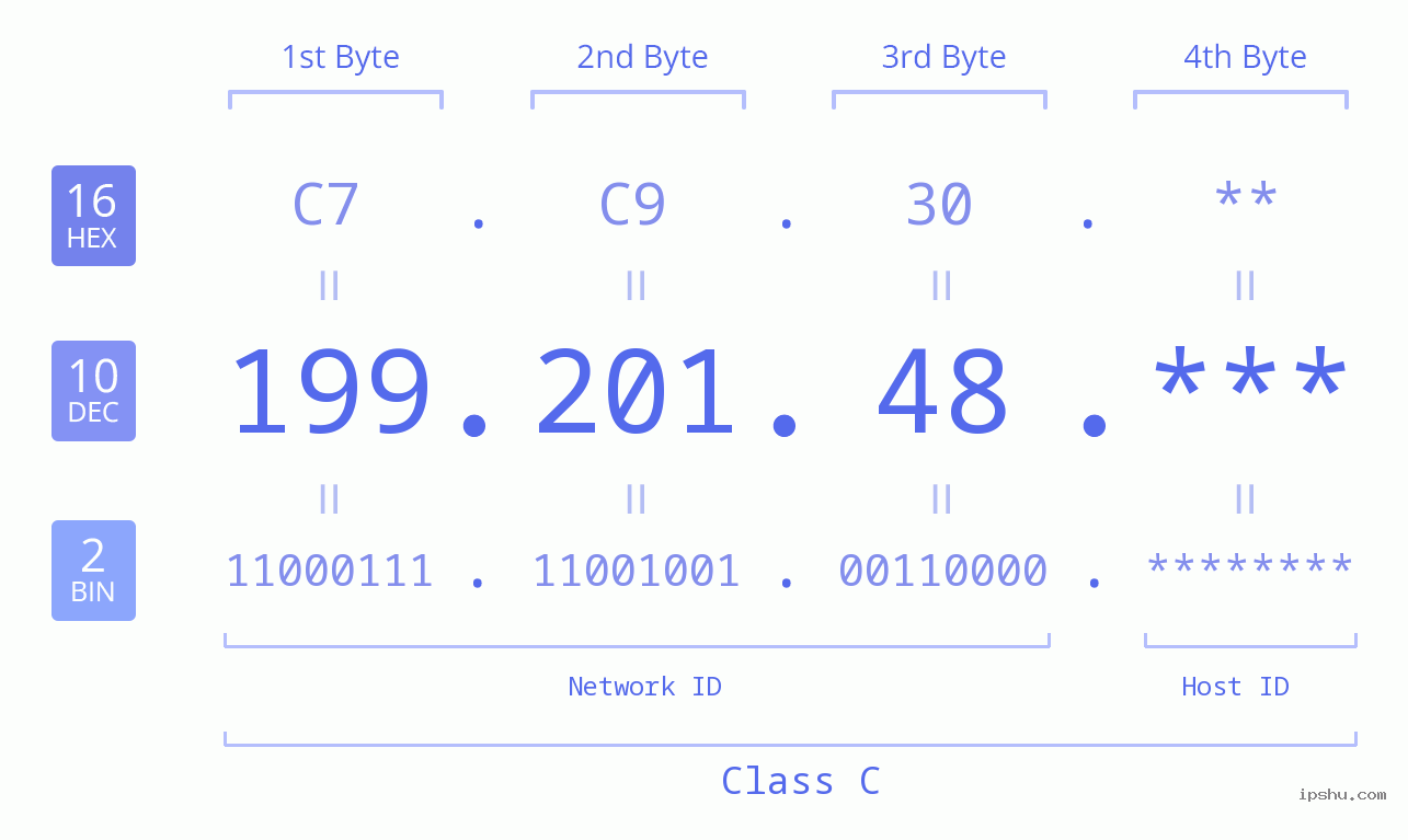 IP Address: 199.201.48 Data Structure Chart BIN DEC HEX IPv4: 199.201.48 Network Class, Net ID, Host ID