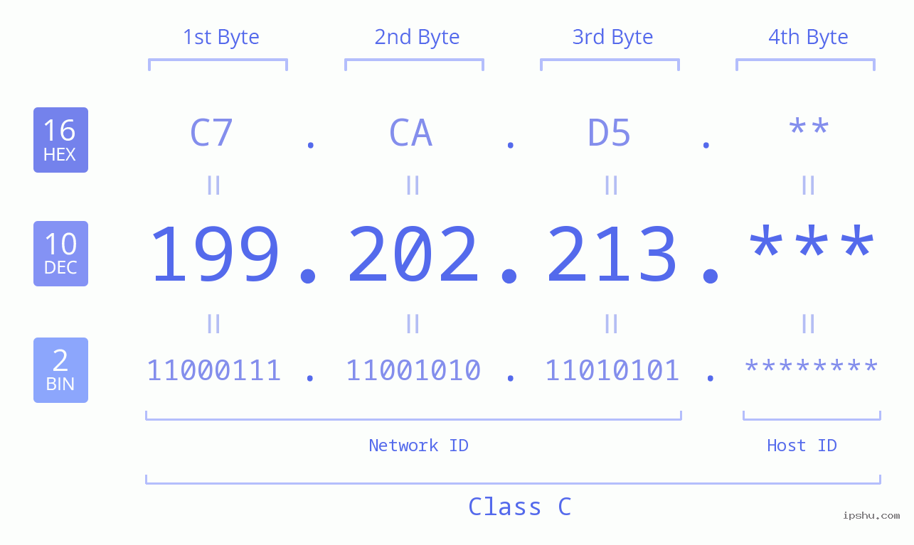 IP Address: 199.202.213 Data Structure Chart BIN DEC HEX IPv4: 199.202.213 Network Class, Net ID, Host ID