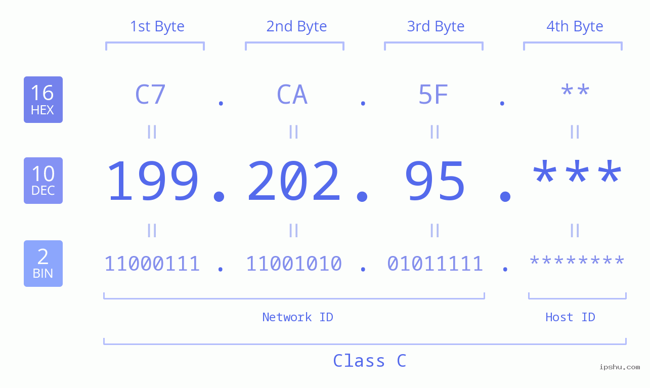 IP Address: 199.202.95 Data Structure Chart BIN DEC HEX IPv4: 199.202.95 Network Class, Net ID, Host ID