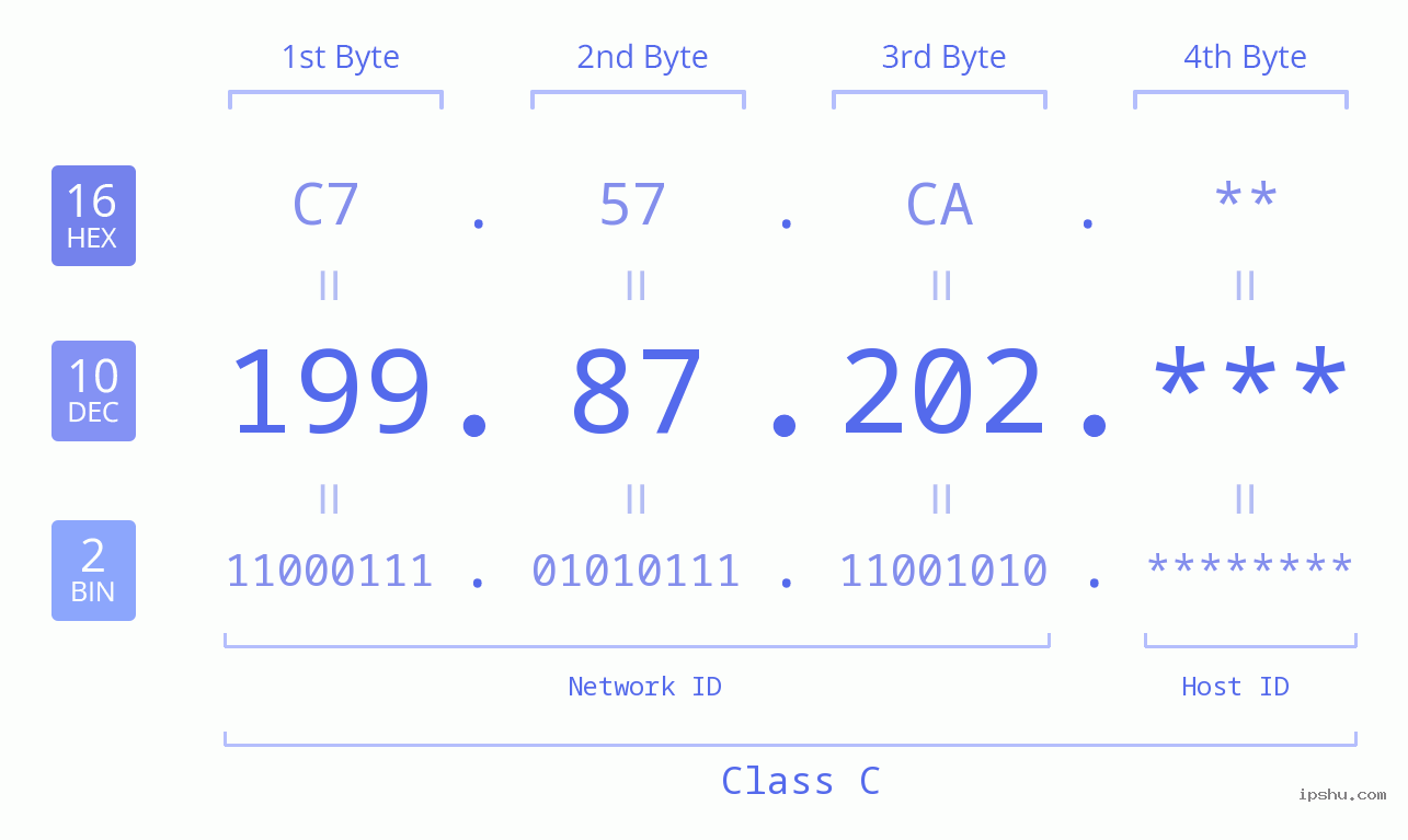 IP Address: 199.87.202 Data Structure Chart BIN DEC HEX IPv4: 199.87.202 Network Class, Net ID, Host ID