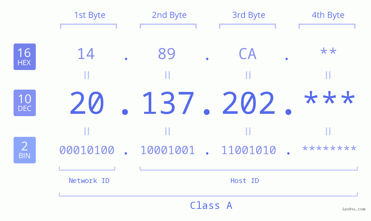 IP Address: 20.137.202 Data Structure Chart BIN DEC HEX IPv4: 20.137.202 Network Class, Net ID, Host ID