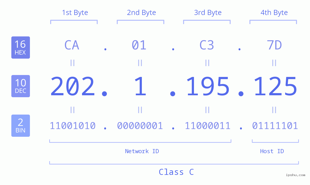 IPv4: 202.1.195.125 Network Class, Net ID, Host ID